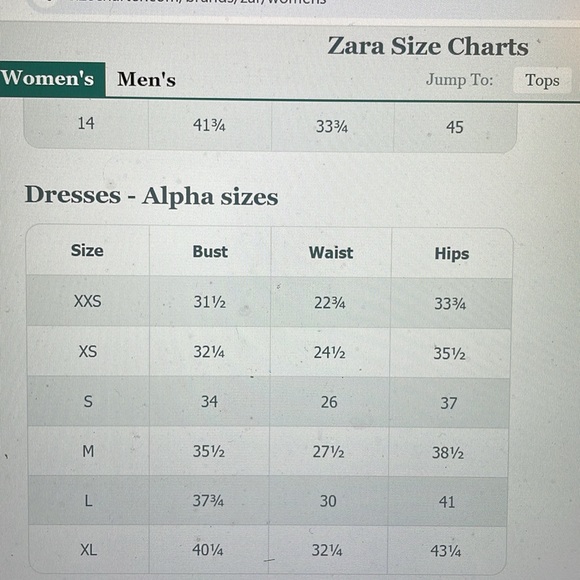 Zara denim button down dress - new with tags - Picture 8 of 8